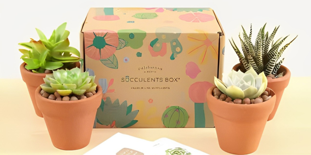 Succulents Box Coupon & Discount Code