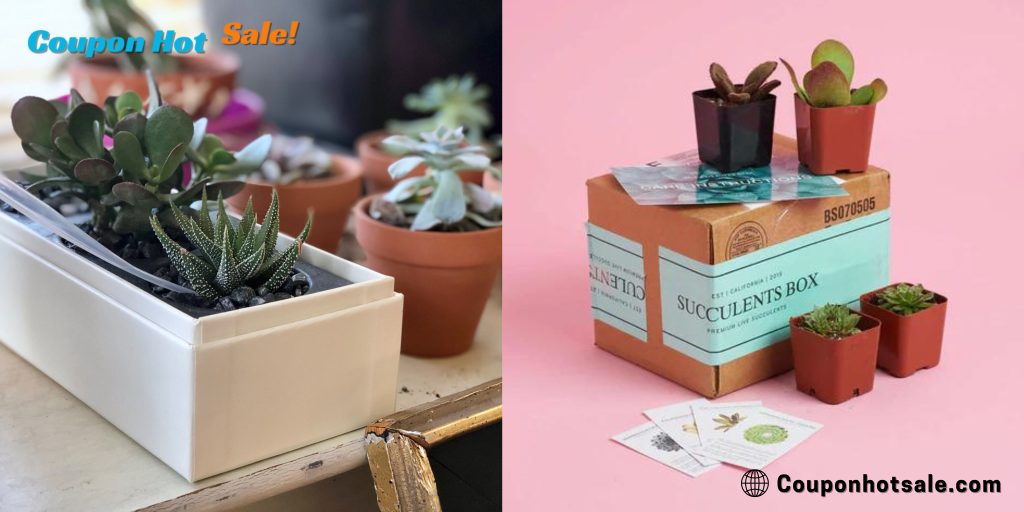 Succulents Box Coupon Code