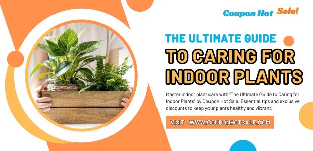 The Ultimate Guide to Caring for Indoor Plants